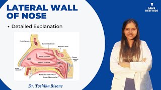 lateral wall of nose | Anatomy lectures