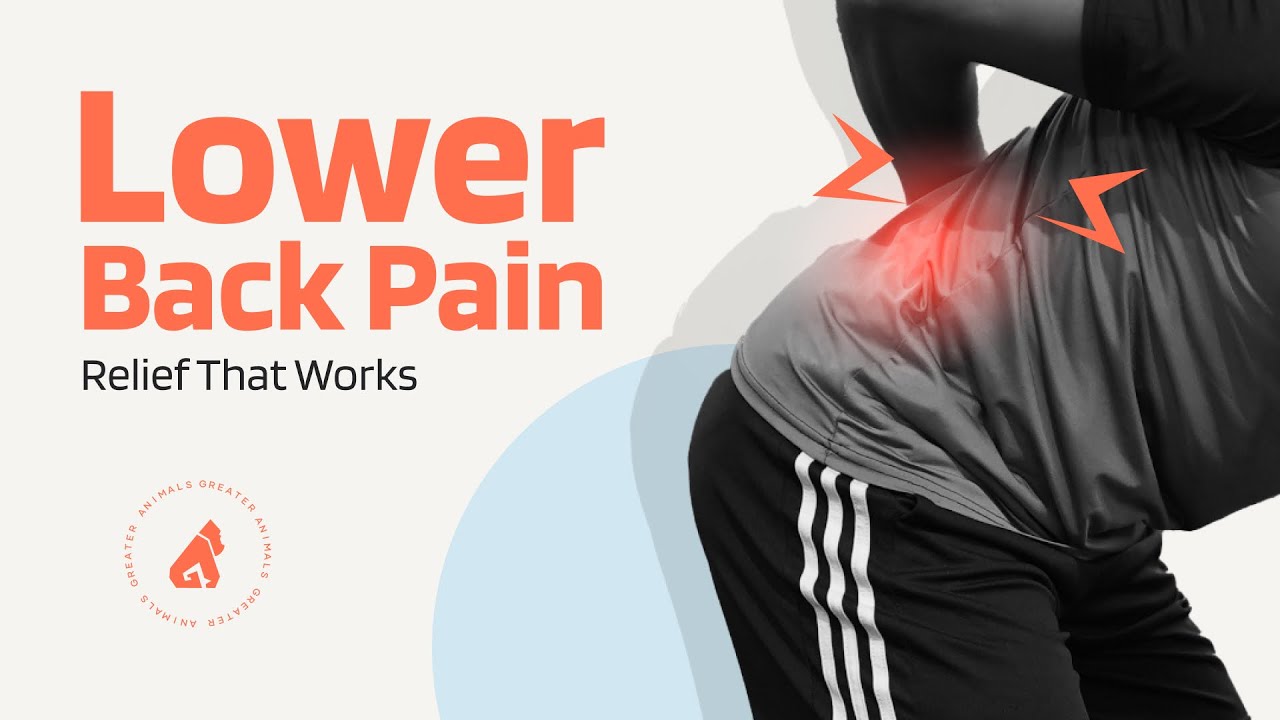 Lower Back Pain Relief Exercises | Detailed Workout