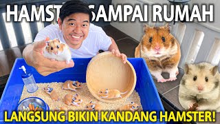 HAMSTER AKU AKHIRNYA SAMPAI RUMAH! LANGSUNG KITA BUAT KANDANGNYA BIAR MAKIN BETAH!