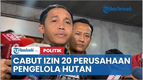 Tunggu Restu Prabowo, Menhut Raja Juli Akan Cabut Izin 20 Perusahaan Pengelola Hutan