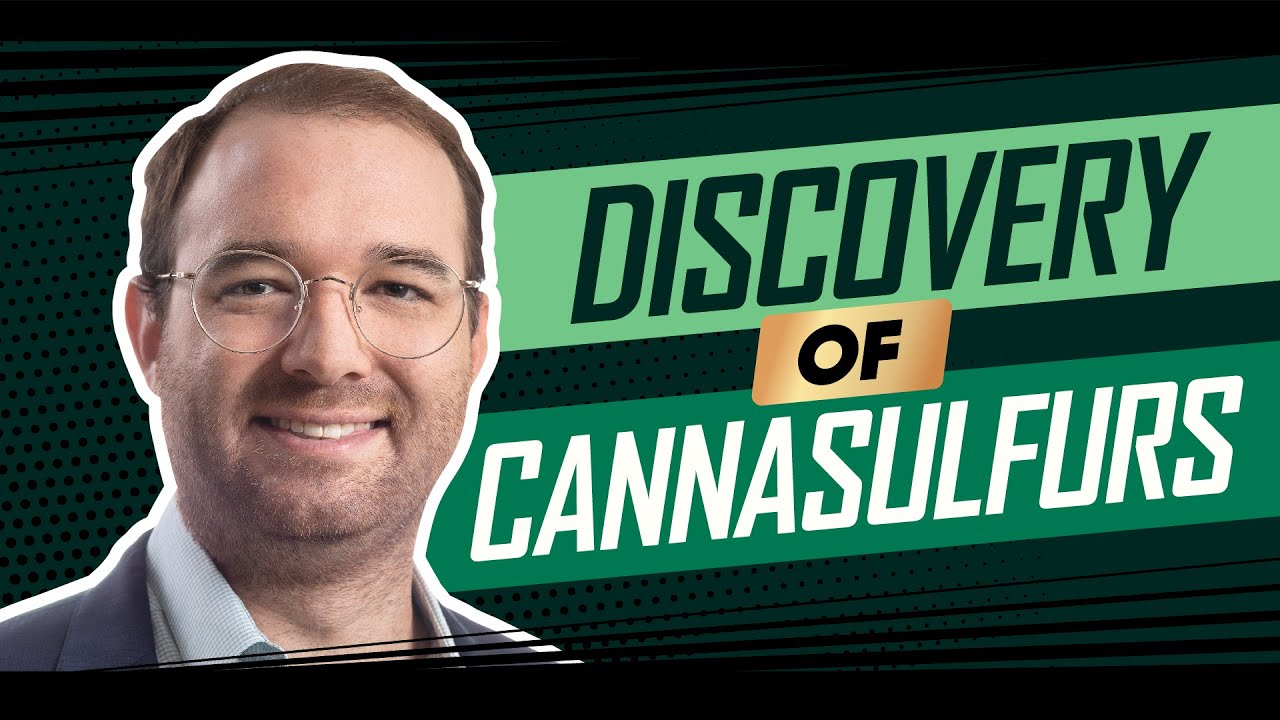 The Discovery Of Cannasulfurs