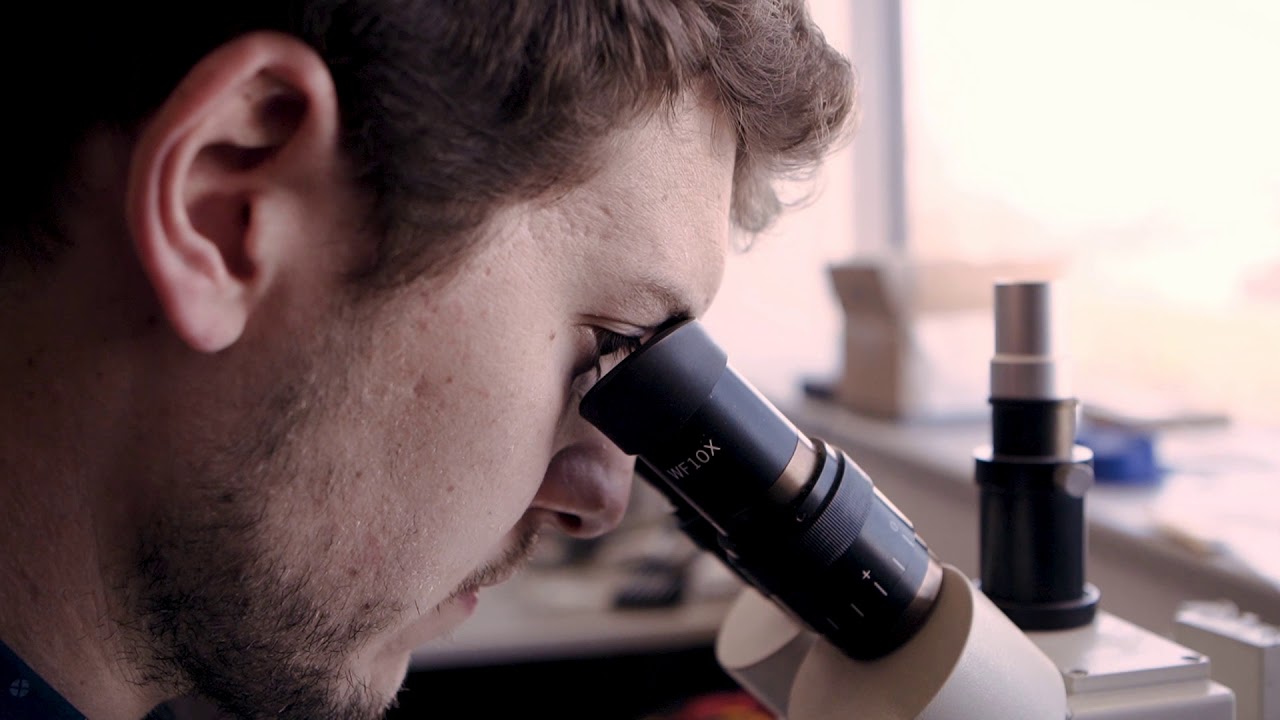 New University Certificate CARAQA.be: October 2019! recherchez