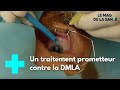 Maladies de la macula  un traitement innovant  le magazine de la sant