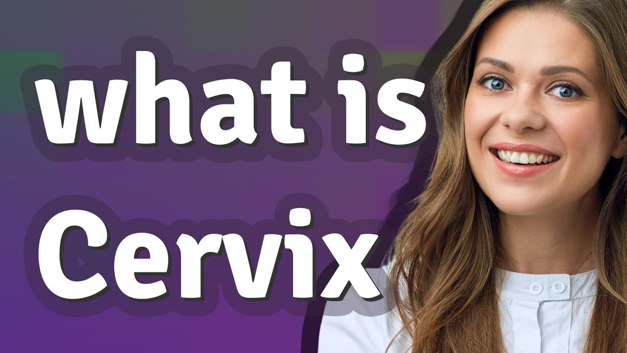 Cervix meaning of Cervix YouTube