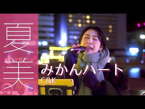 みかんハート／C&K