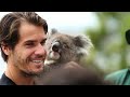 Tommy Haas meets Karen the Koala - Hyundai Hopman Cup 2013