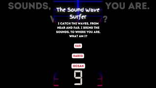 The Sound wave Surfer