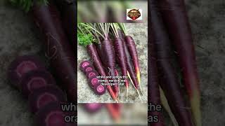 Crazy Facts About Food You Eat Everyday