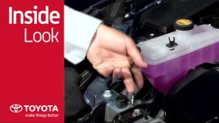 Kingston Toyota Scion -inside look long life coolant -Genuine Parts Scion Xd Coolant Type