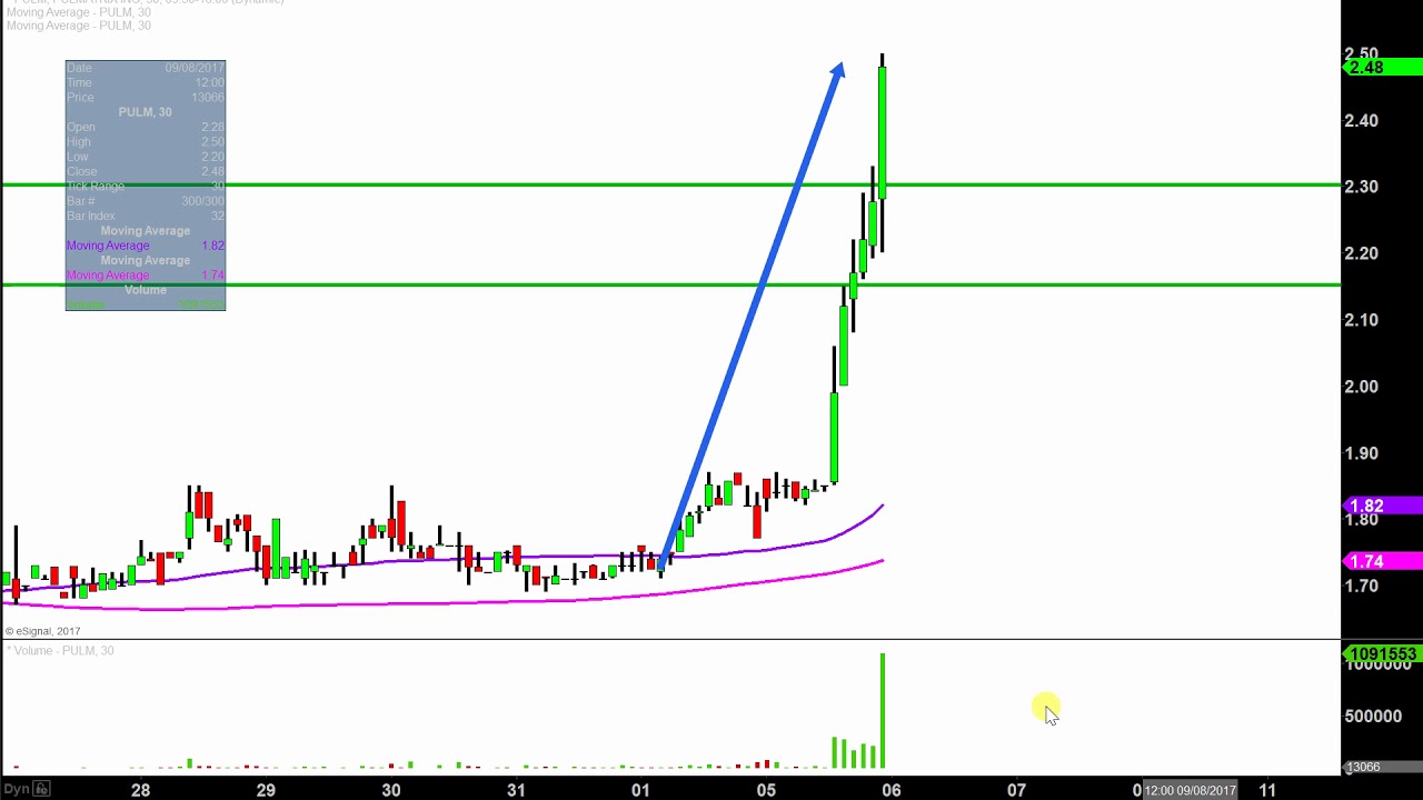 Pulm Chart