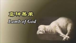 真神羔羊 Lamb of God (Chinese)
