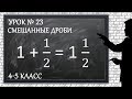 Изучаем математику с нуля / Урок № 23 / Смешанные дроби