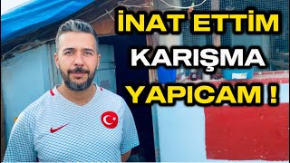 İnat Etti̇m Gazi̇antepte Karişma Yapicam Yusuf Öztürk Kümesi 200 Tane Güvercin