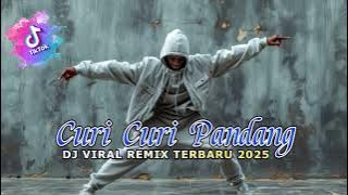 CURI CURI PANDANG - Juan Reza Ft Ecii Lamak🎶DJ VIRAL REMIX TERBARU 2025 🎶🎺🎶