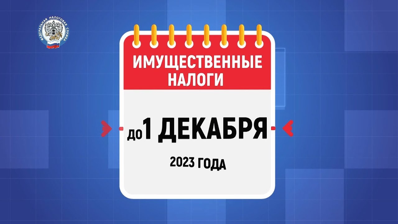 Серовчанам предлагают оплатить налоги в ноябре! #серовтв #серов #твсеров