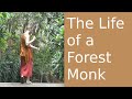 La vie des moines de la fort  wat phu khongtong  nong bua lamphu thalande soustitres fr