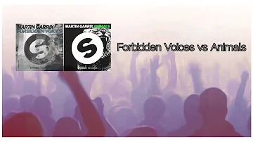 Martin Garrix │Forbidden Voices vs Animals (RHSN Mashup)