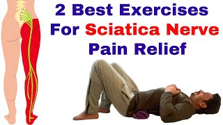 2 Best Exercises For Sciatica Nerve Pain Relief | Slip Disc Pain, Lower back, Leg Pain Treatment