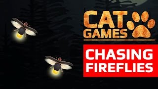 CAT GAMES - 😺 CHASING FIREFLIES (ENTERTAINMENT VIDEOS FOR CATS TO WATCH) screenshot 3