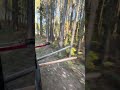 Controlled Burn Alabama