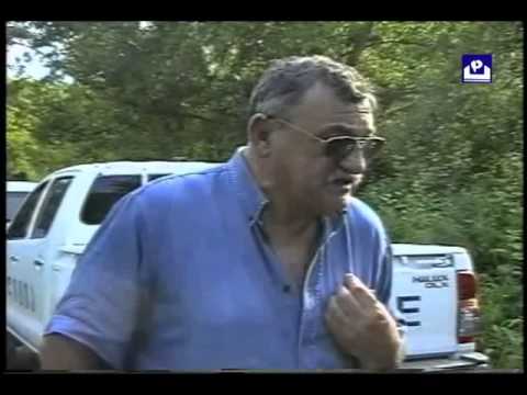 ბრაკონიერები ჭალის ტყეში