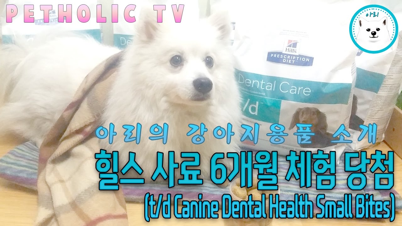 [강아지용품 소개] 힐스 사료 6개월 체험 당첨 td Canine Dental Health Small Bites YouTube