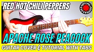 Red Hot Chili Peppers - Apache Rose Peacock (Guitar Cover) Lesson | Tab | Tutorial