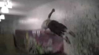 Robert Scriven Foam Pit Session