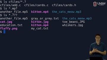 COMP2041/COMP9041 - Shell Globbing (Filename Expansion)