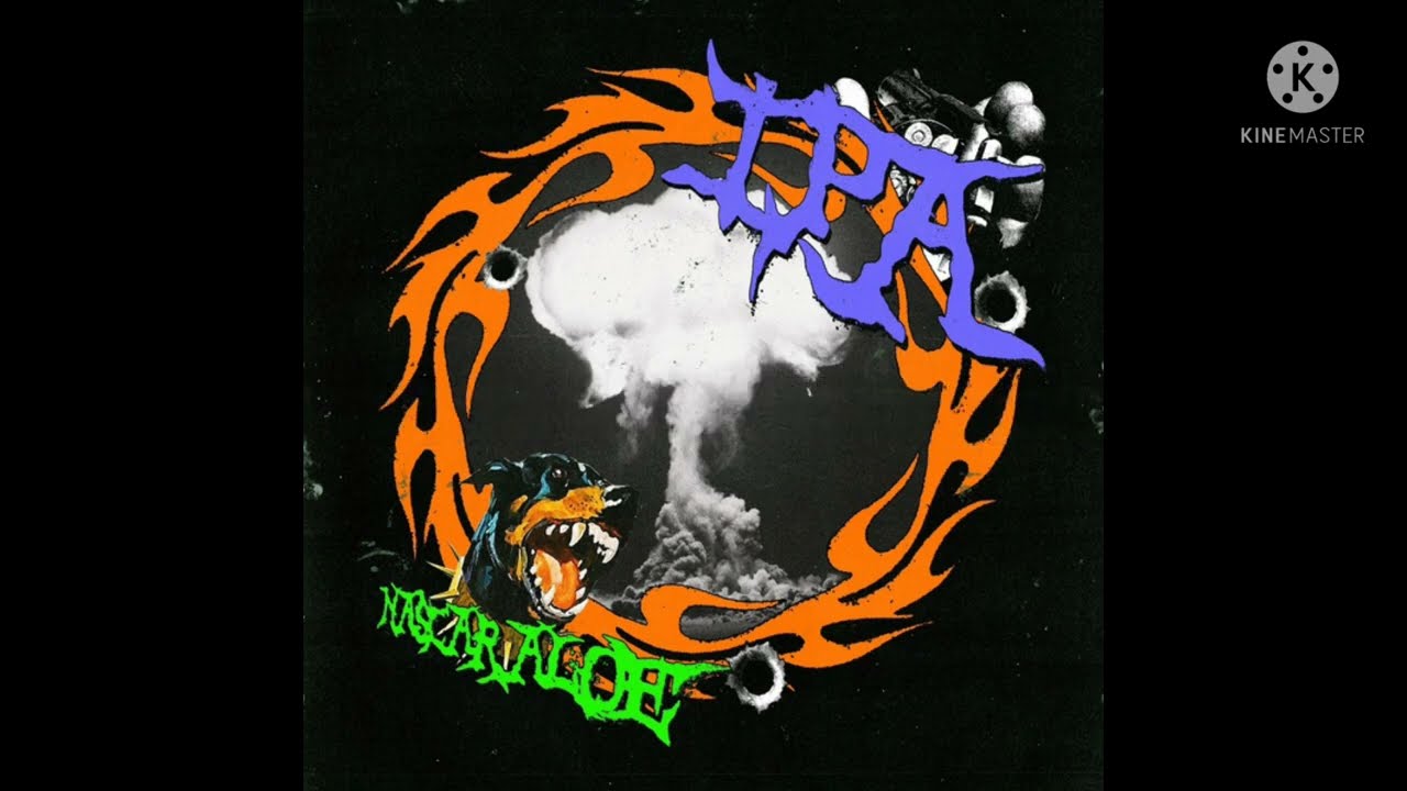 Nascar Aloe IPA lyrics YouTube