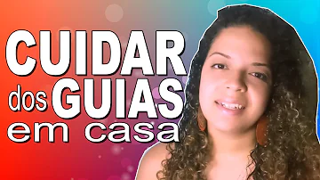 Como cuidar das minhas guias?