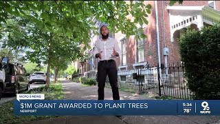 Kentucky town gets $1M to plant 1,000 trees