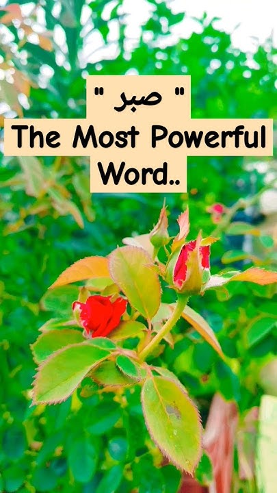 The Most Powerful Word sabar Jiske Pas Hai Uska Pas World Hai day-25-sabar-its-is-a-most-powerful-word-in-islam-sabar-islamic