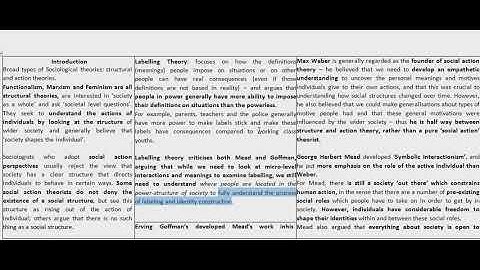Unit 4 Social action theories introduction