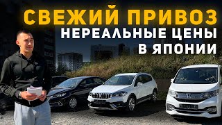 Suzuki SX4 🔥 ALLION 🔥 STEPWGN 🔥 НЕРЕАЛЬНЫЕ ЦЕНЫ В ЯПОНИИ НА АВТО ПОД ЗАКАЗ