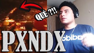 Reacción A Panda Rockeando Entre La Basura Están Muy Equivocados