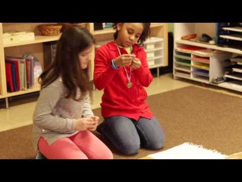 Council Oak Montessori School Math Curriculum