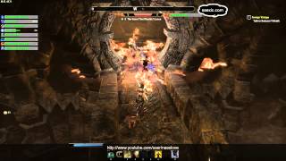 The Elder Scrolls Online - Naex Vs The Guest That Wouldnt Leave Veteran