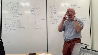 Chapter 15 Urinary System Lecture