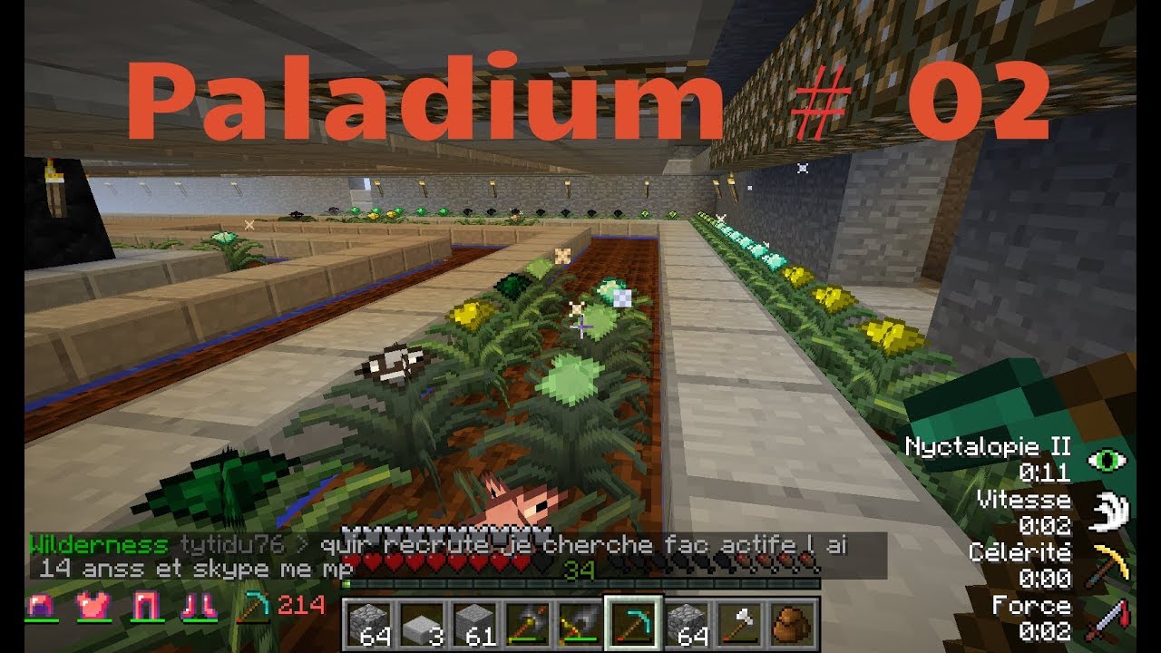 Paladium 02 YouTube