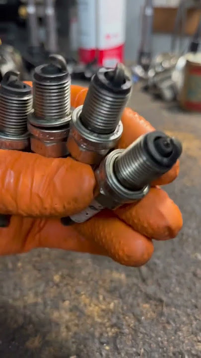 Compare Good vs Bad Spark Plugs