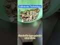 Herbal Roots Powder Grinder Licorice Root Grinding Machine #herbgrinder #powdergrinder #powdermill