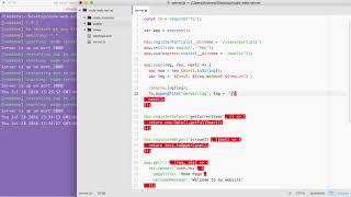 Web Servers and Application Deployment: Express Middleware