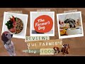 The farmers dog food review  dangerous for some dogs