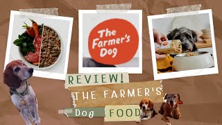The Farmer's Dog Food Review - Dangerous for Some Dogs?