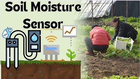 Unlock the Secrets of Soil Moisture Sensors!