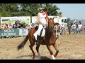Ref:W9DXSAkUCMY La f�te du cheval - maul�vrier 2013