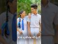 සුදු පාට කිරිල්ලියක් #shorts