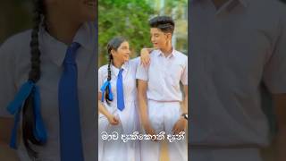 සුදු පාට කිරිල්ලියක් #shorts