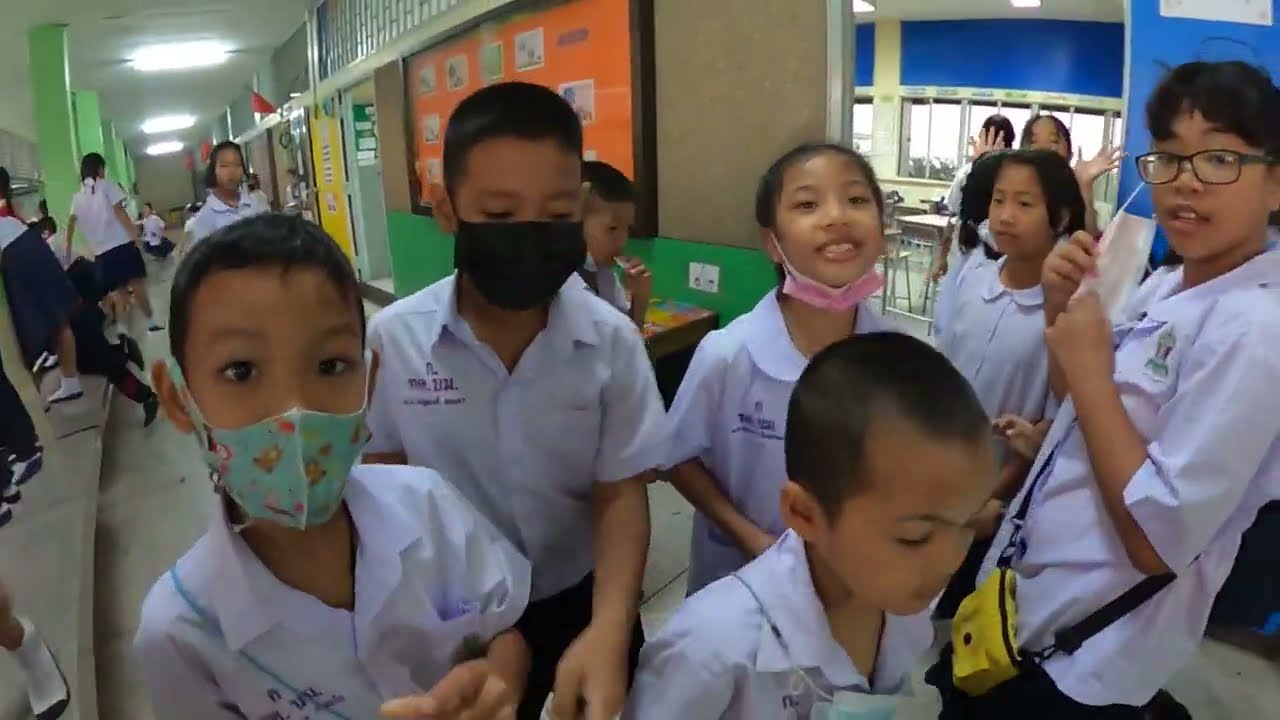 ค้างคาวตกหลังคา | ครูนกเล็ก